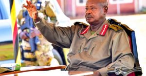 MZEE-2-780x405-1-750x389