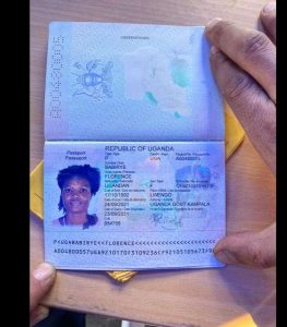 1198fefb-035e-47f6-85fd-22dfa9d9a51f