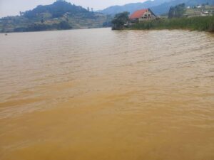 b85271cb-ca58-4f45-a23c-f64d5f8dcd4c